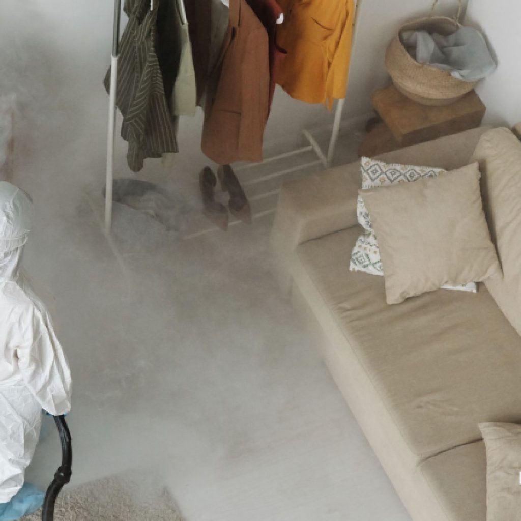 sold-drywood-termite-structural-fumigation-seminole-county-fl